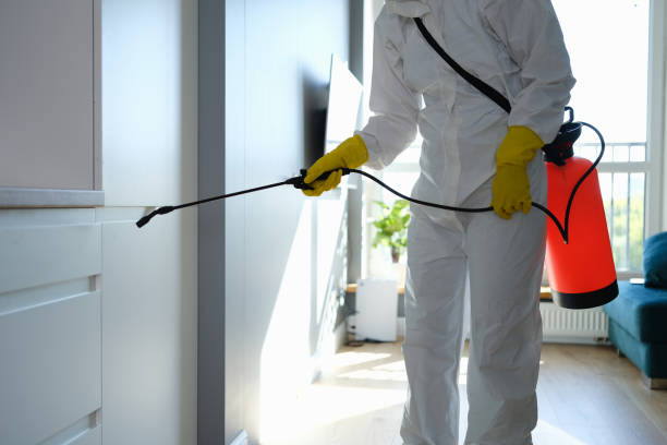 Best Attic Mold Remediation in Wood Ridge, NJ