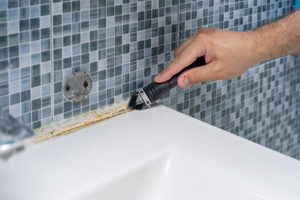 Best Bathroom Mold Remediation in Wood Ridge, NJ